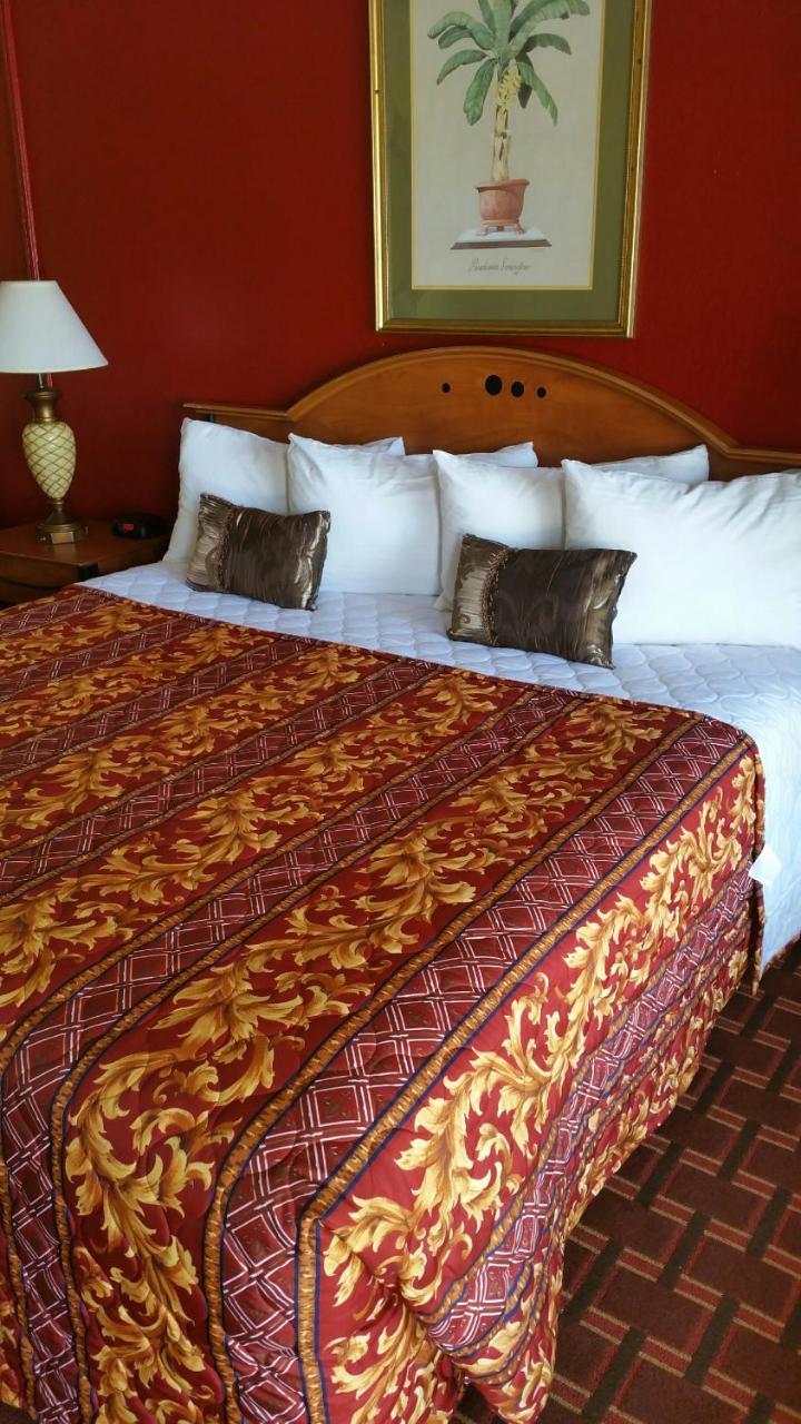 Palms Inn 데이니아 비치 외부 사진
